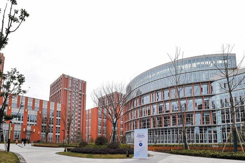 創(chuàng)意無疆界 上海交大與南加州大學(xué)合作下的長沙文創(chuàng)產(chǎn)業(yè)新圖景